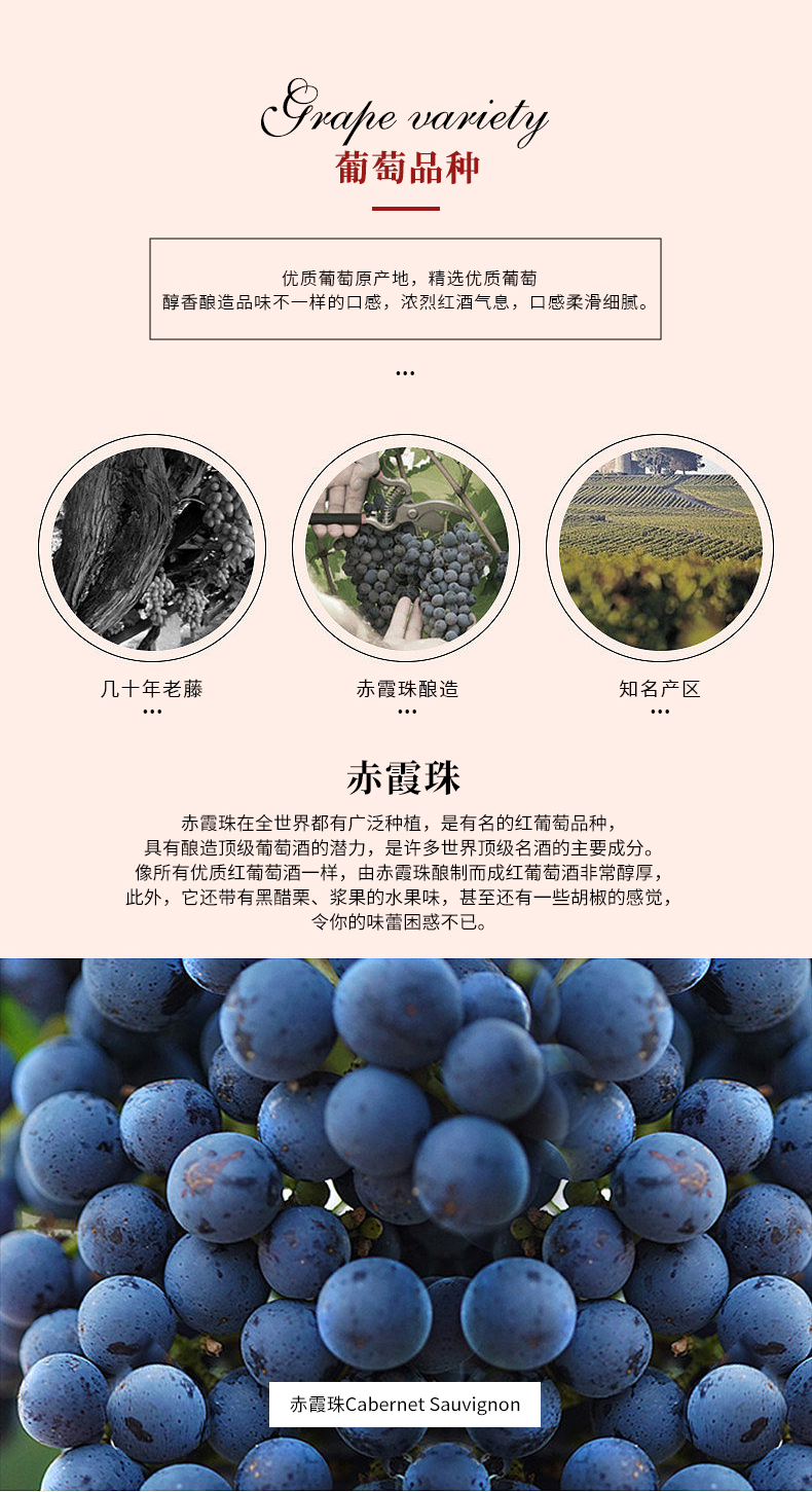 深夜视频在线免费多莉詳情頁_02.jpg