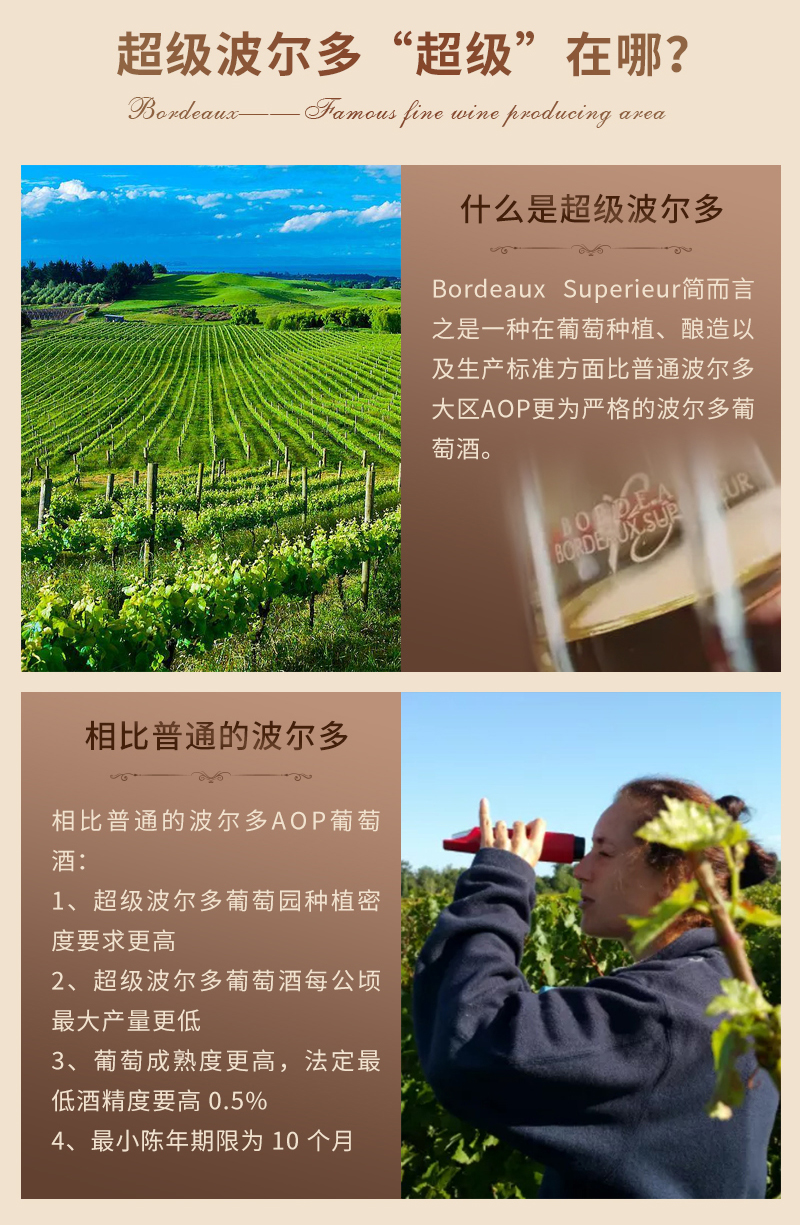 深夜视频在线免费吉娜詳情頁_02.jpg