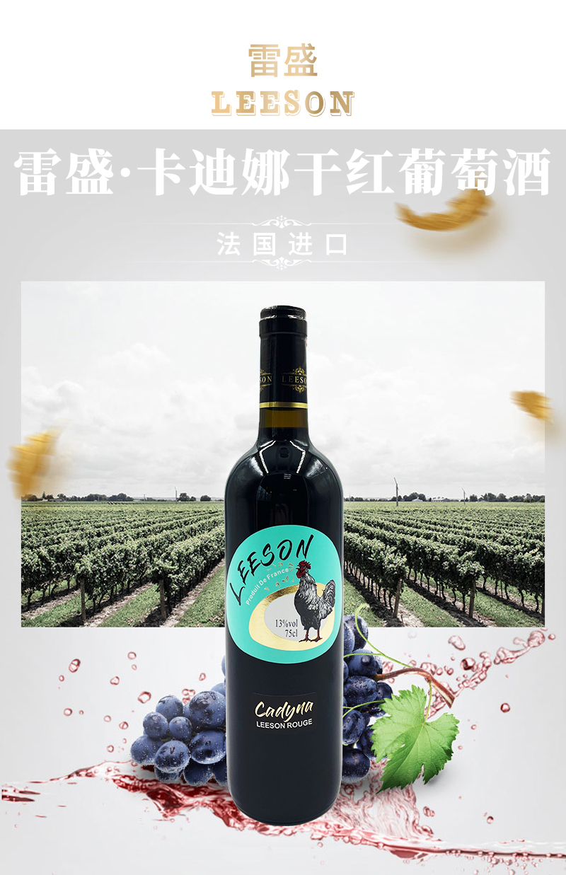 深夜视频在线免费卡迪娜詳情頁_01.jpg
