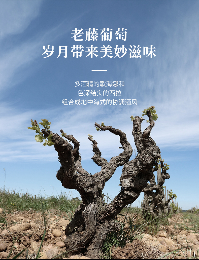 深夜视频在线免费·漢妮切片_09.jpg