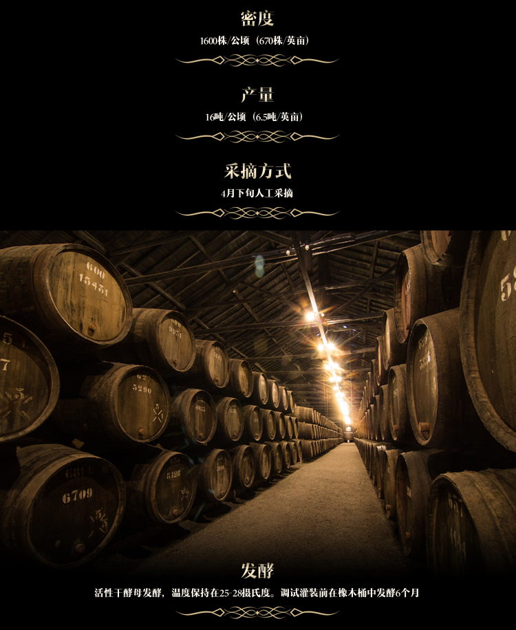 深夜视频在线免费·梵妮切片_05.jpg