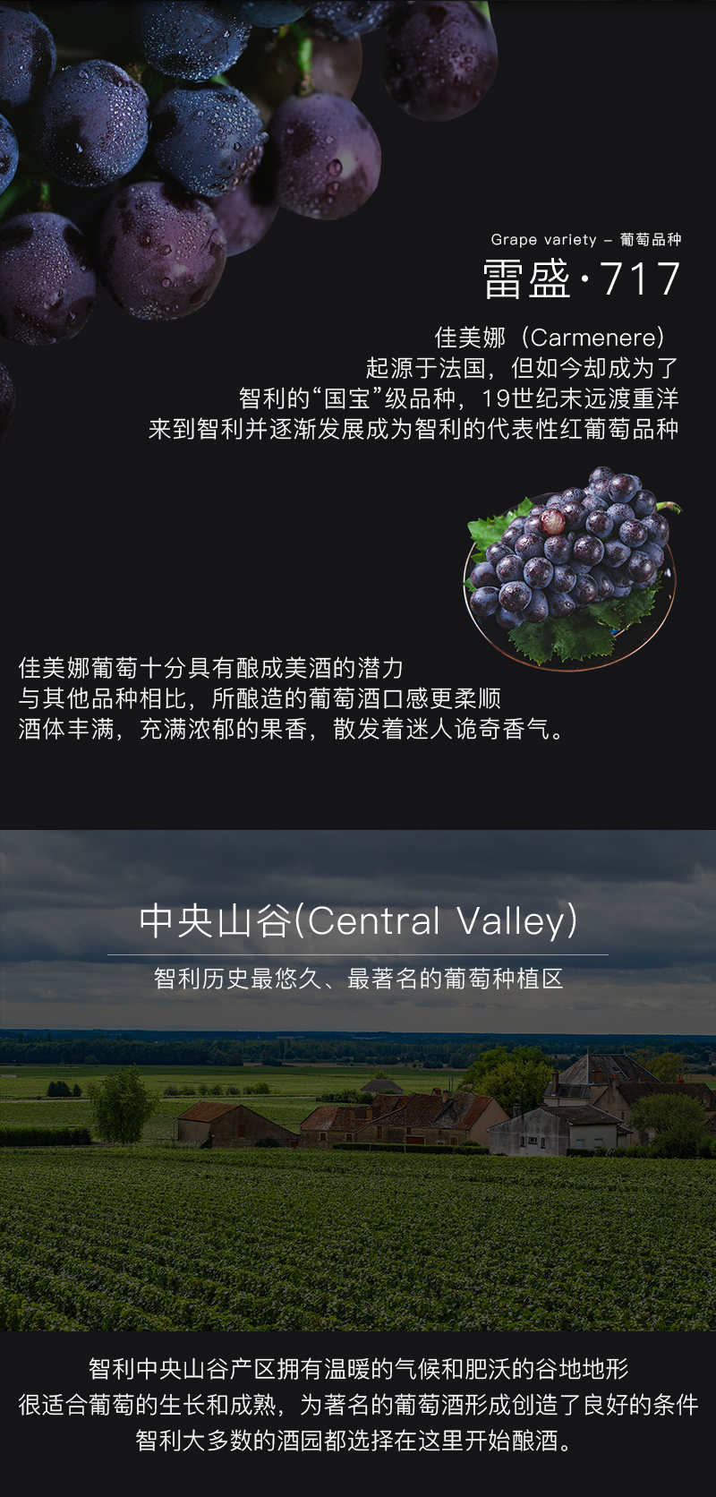 深夜视频在线免费717智利特級佳美娜幹紅葡萄酒(圖4)