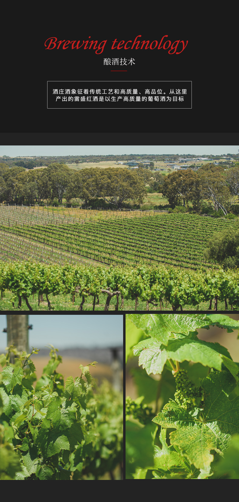 深夜视频在线免费紅酒101號 澳洲原裝原瓶進口(圖6)