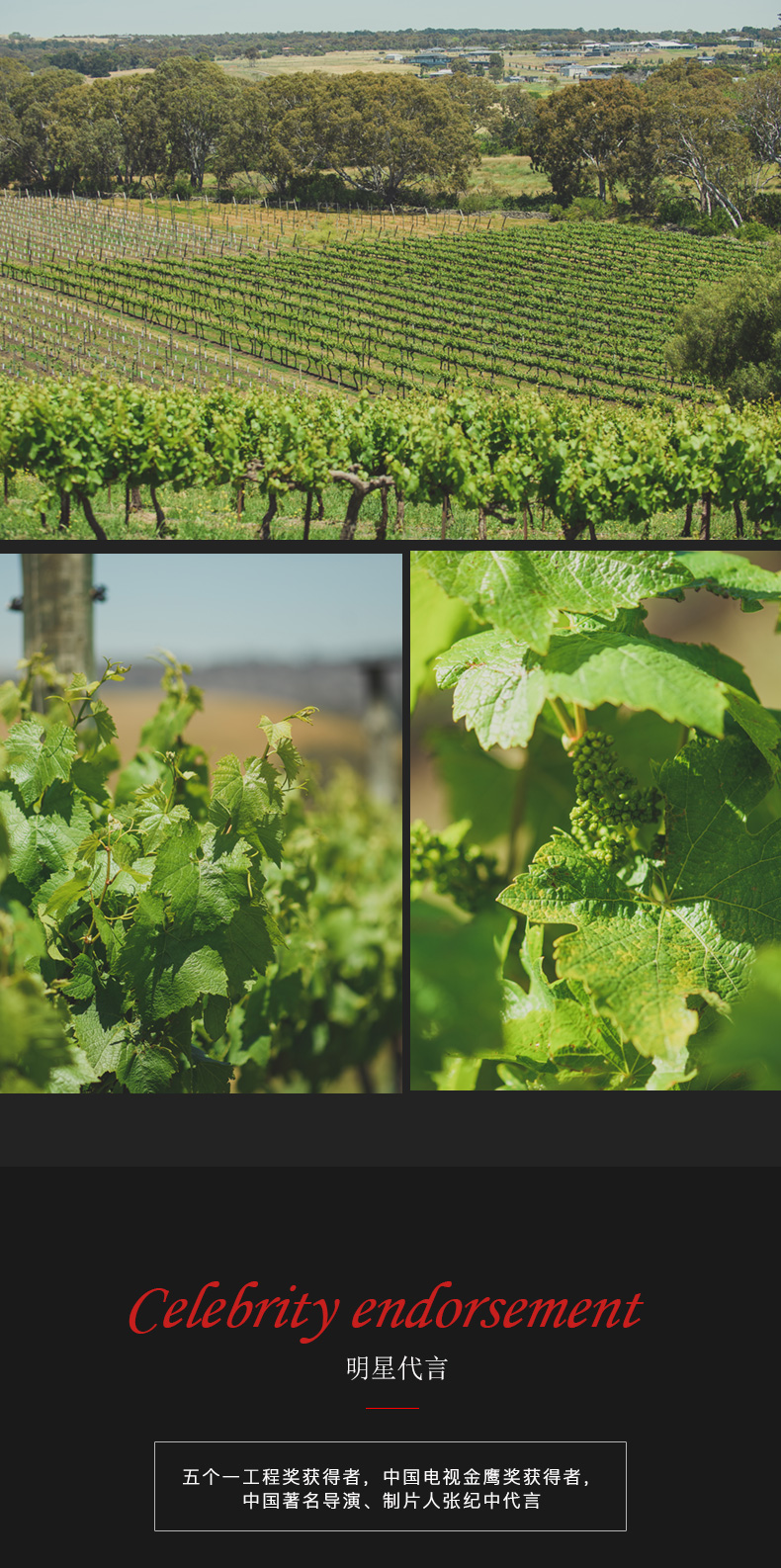 深夜视频在线免费紅酒203號 澳洲原裝原瓶進口(圖4)