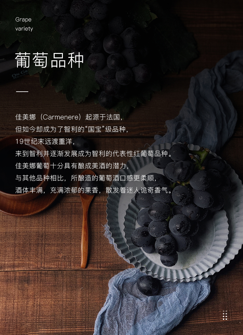 深夜视频在线免费紅酒419智利佳美娜幹紅葡萄酒(圖4)